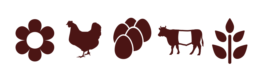 Producten